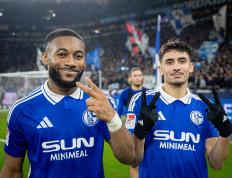 包含沙尔克负于对手，保级压力持续加大的词条