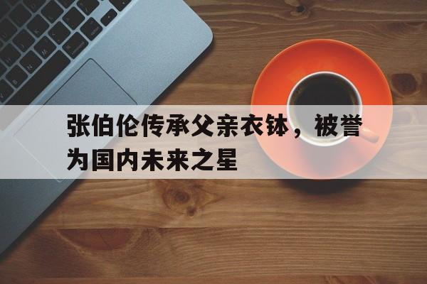张伯伦传承父亲衣钵,被誉为国内未来之星