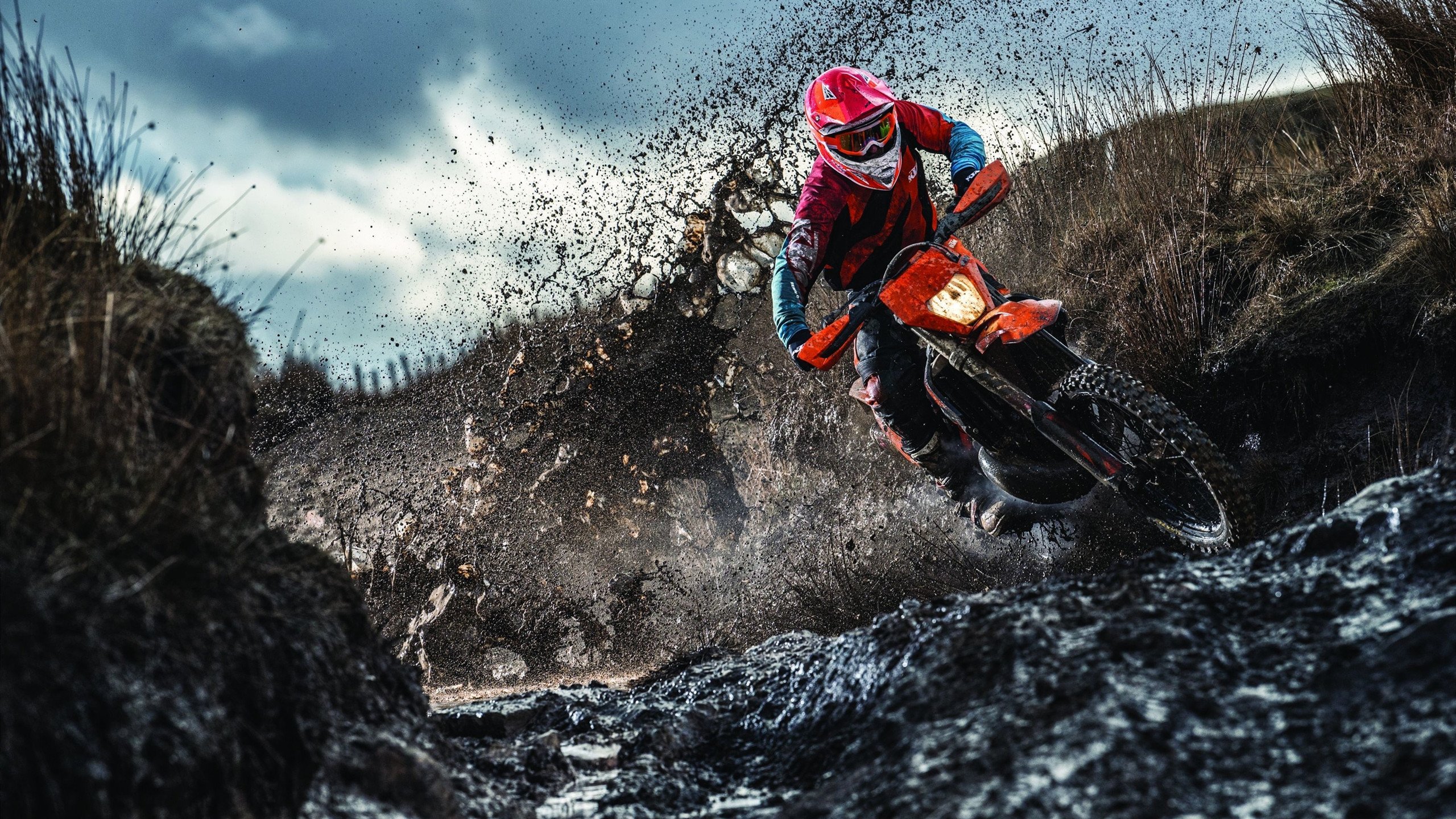 大坂直美迎来三赛季出色发挥,加拿大队观众热烈欢呼!引发球迷热议