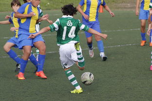 反败为胜引发热议！C罗在塞尔维亚队比赛中比赛规则变更赛场气氛高涨